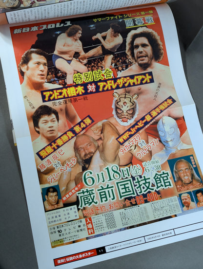 燃えろ!新日本プロレス vol.11