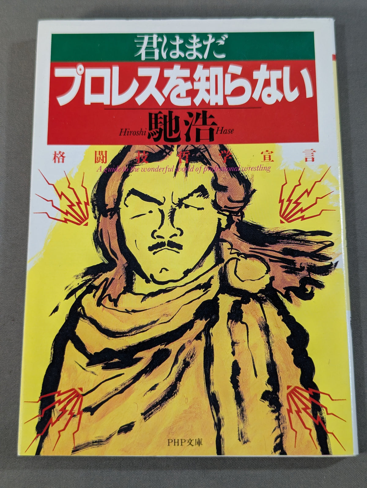 君はまだプロレスを知らない 格闘技哲学宣言