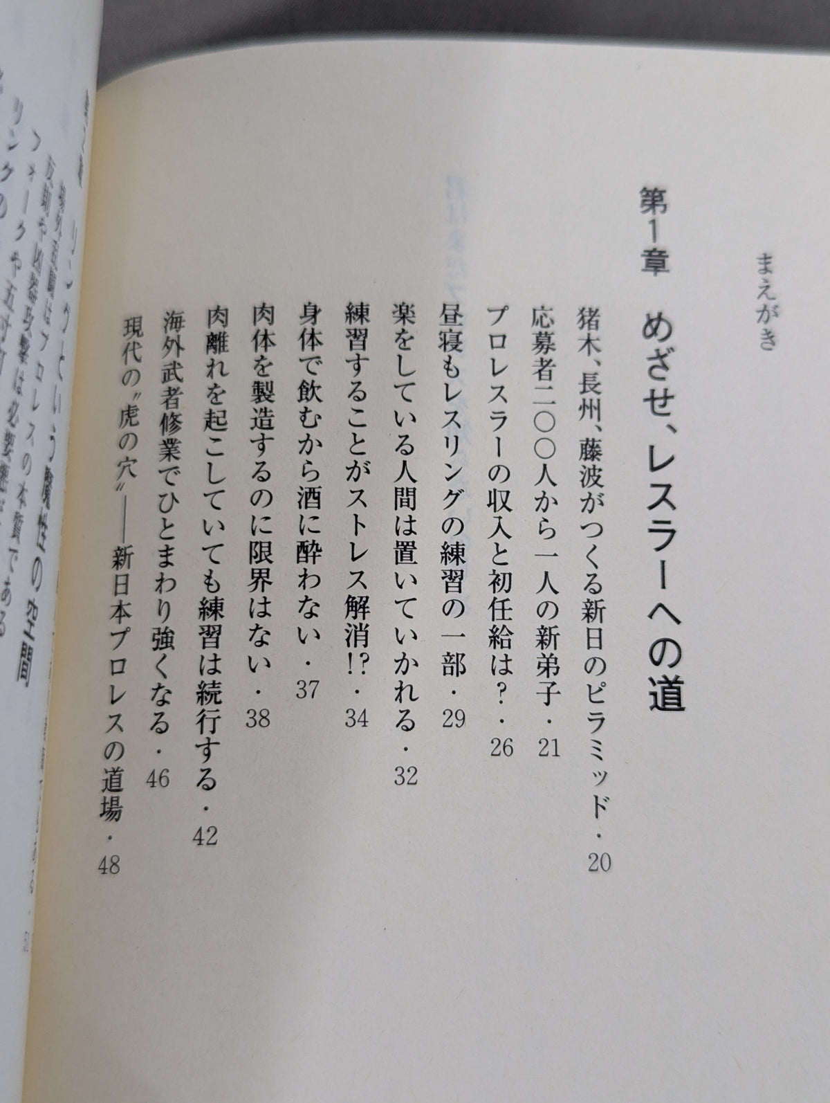 君はまだプロレスを知らない 格闘技哲学宣言