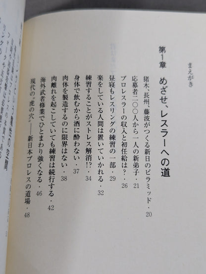 君はまだプロレスを知らない 格闘技哲学宣言