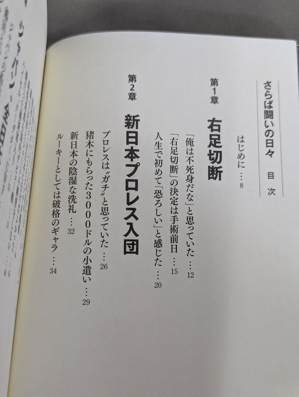 さらば闘いの日々