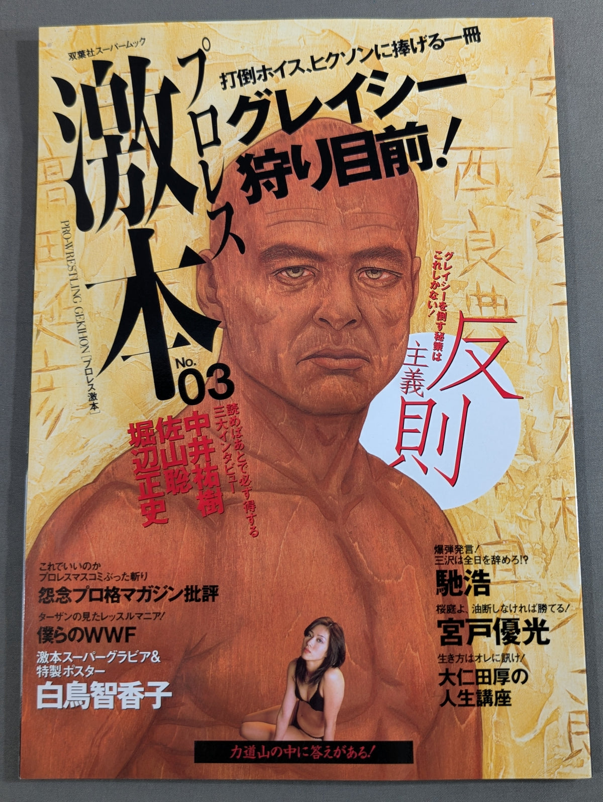 Pro Wrestling Extreme Book No.3 (Vol.3)