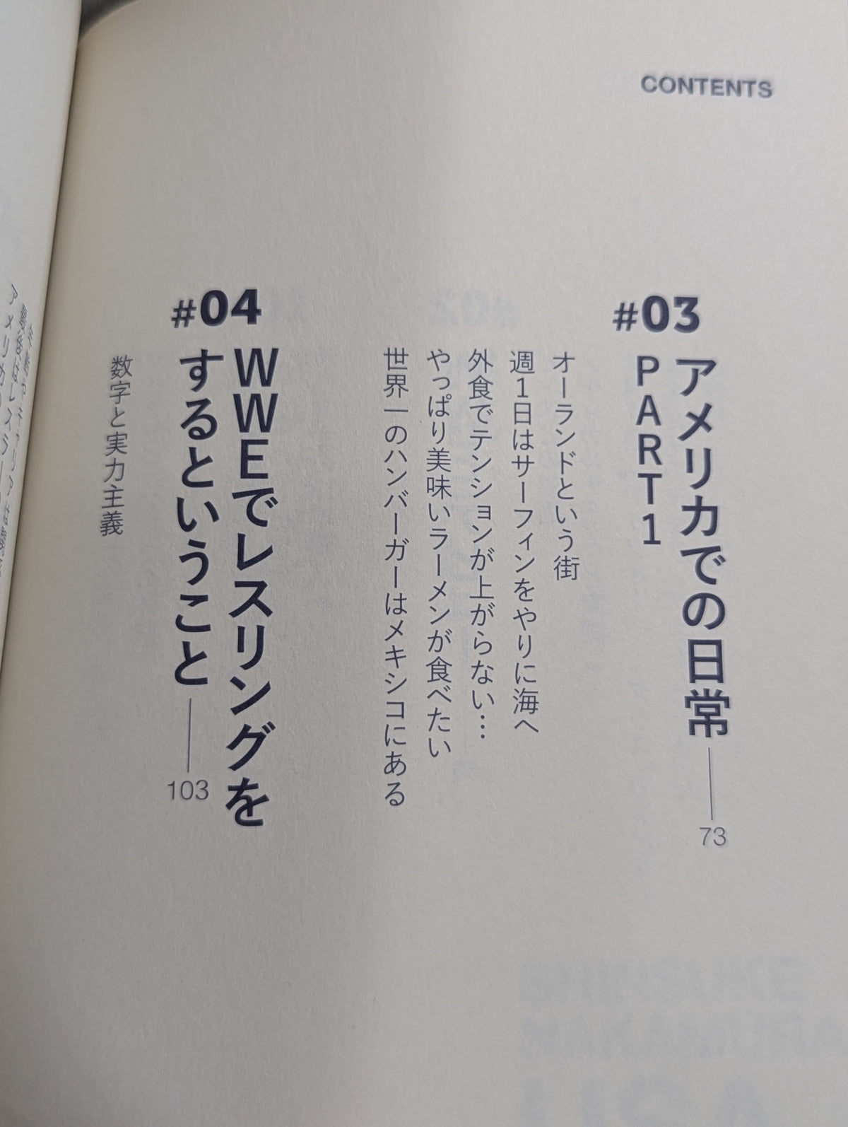 【特典付】SHINSUKE NAKAMURA USA DAYS
