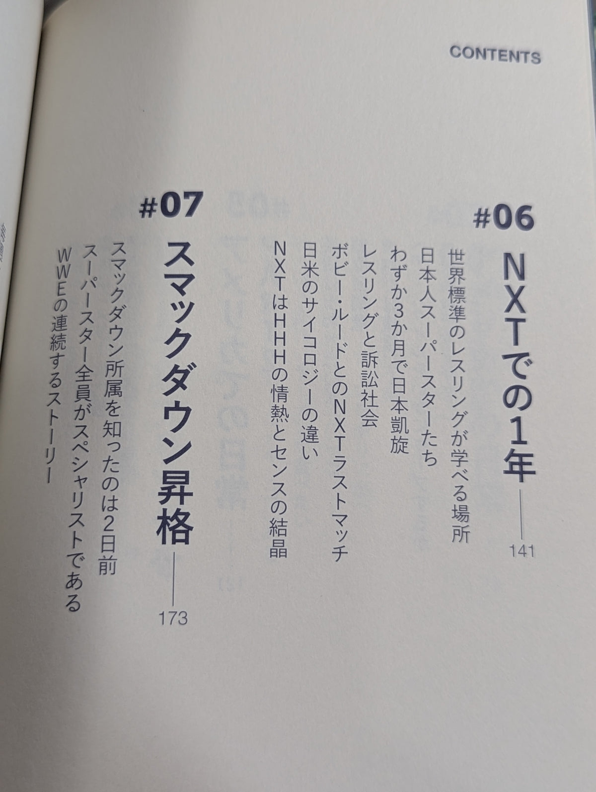 【特典付】SHINSUKE NAKAMURA USA DAYS