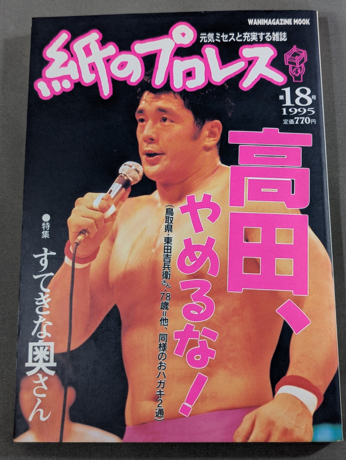 Pro Wrestling  on paper 18