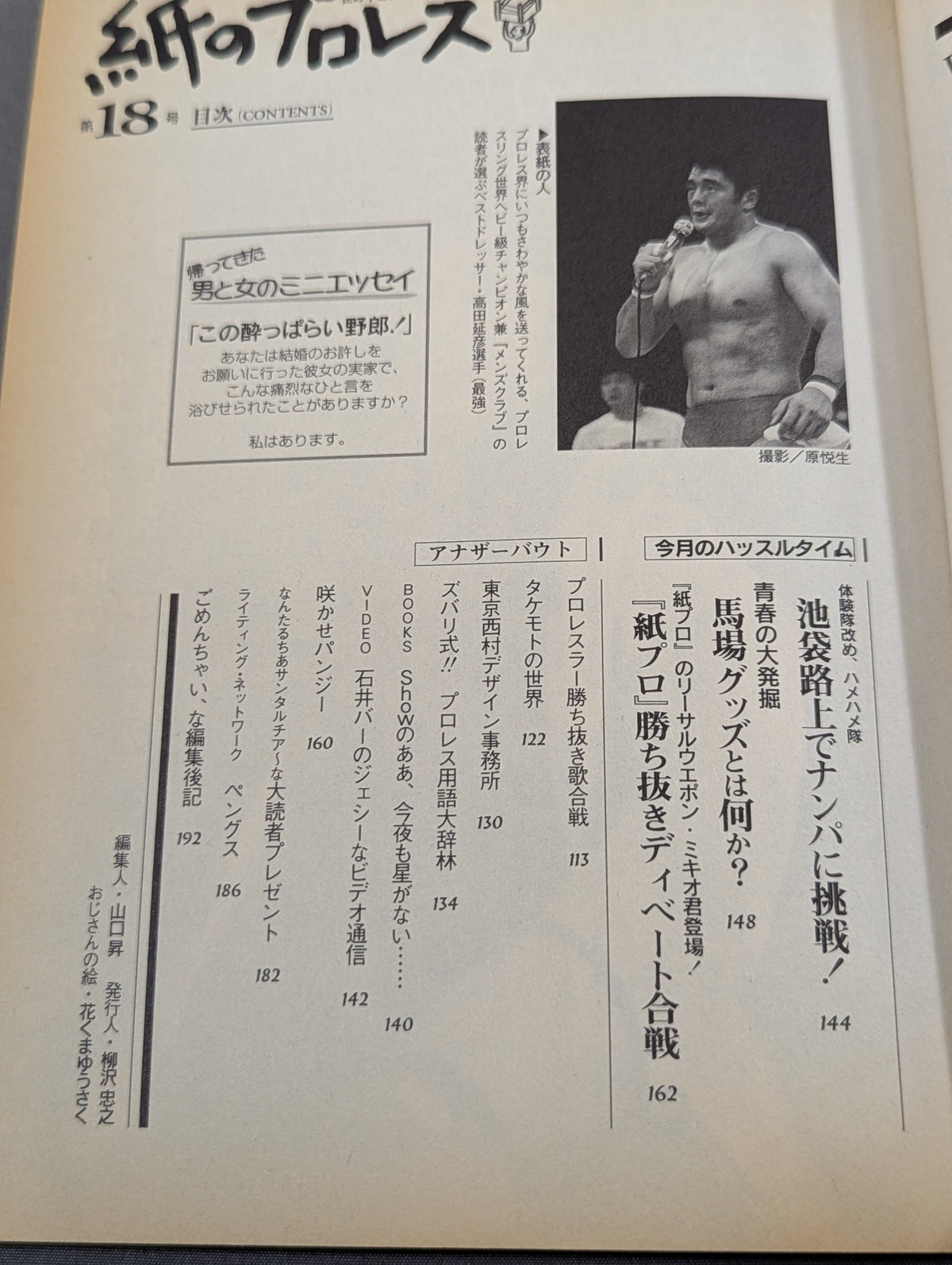 Pro Wrestling  on paper 18
