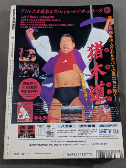 Pro Wrestling  on paper 18