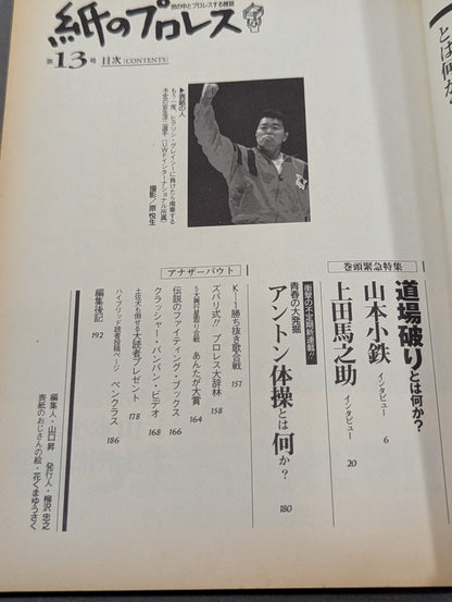 Paper Pro Wrestling 13