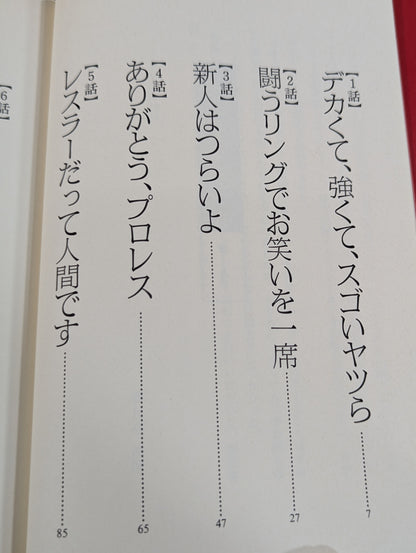 【著者 直筆サイン入り】ナイショナイショ11 プロレスラーのとっておきの話