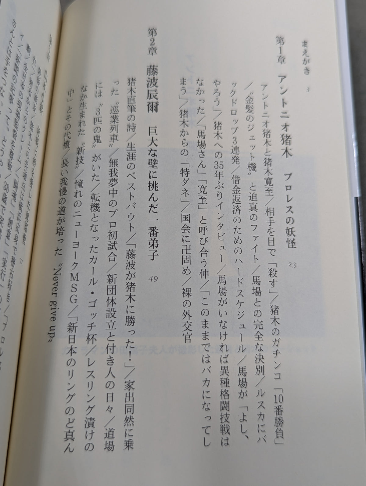 Antonio Inoki  Fighting Spirit Gene
