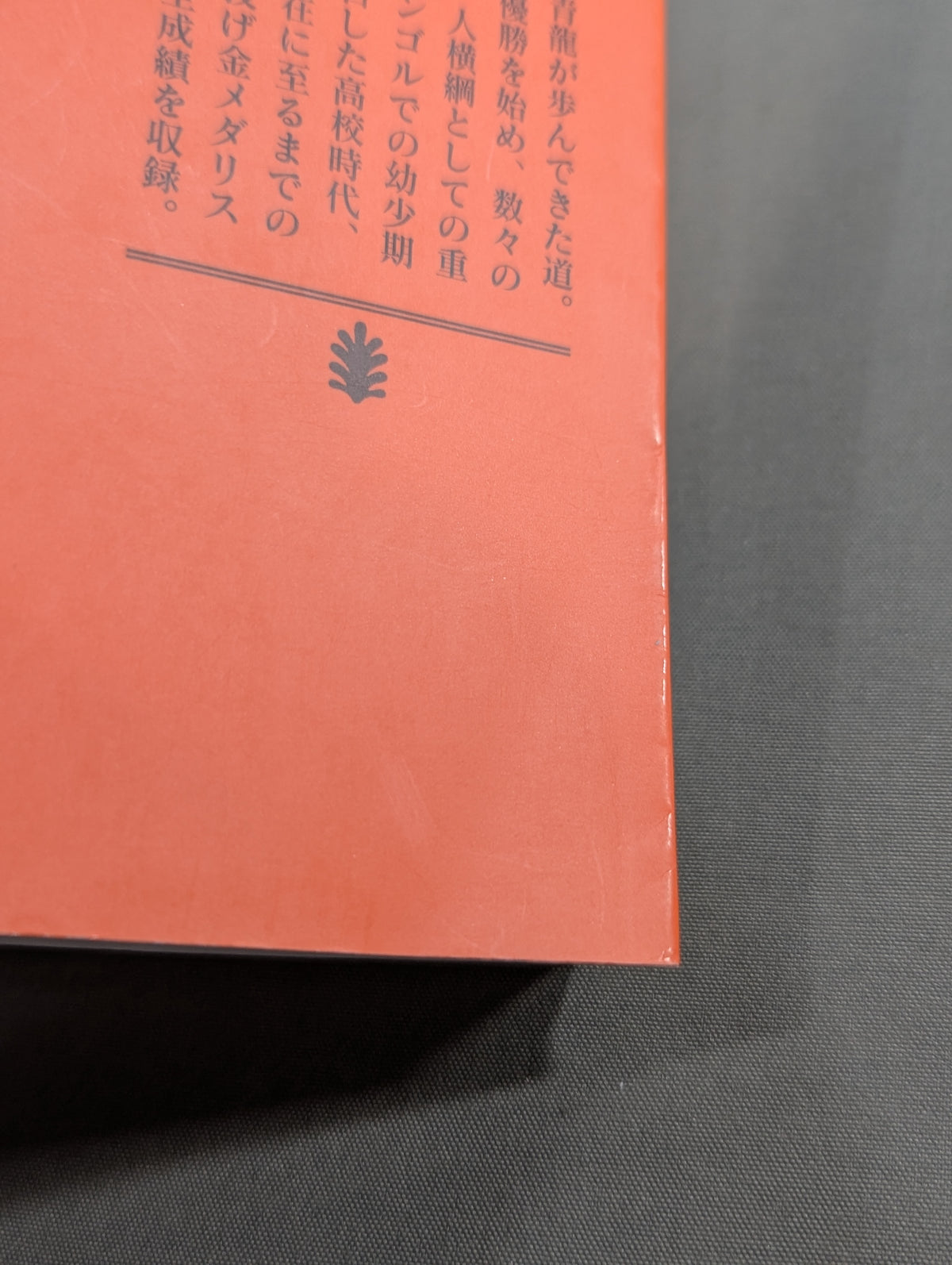 ドルジ  横綱・朝青龍の素顔