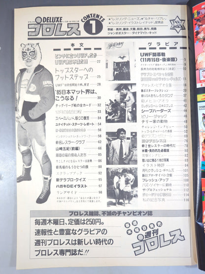 Deluxe Pro Wrestling  January 1985