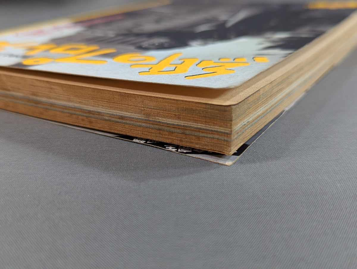 Paper Pro Wrestling  10