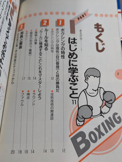 Attack Boxing: Techniques and Practices