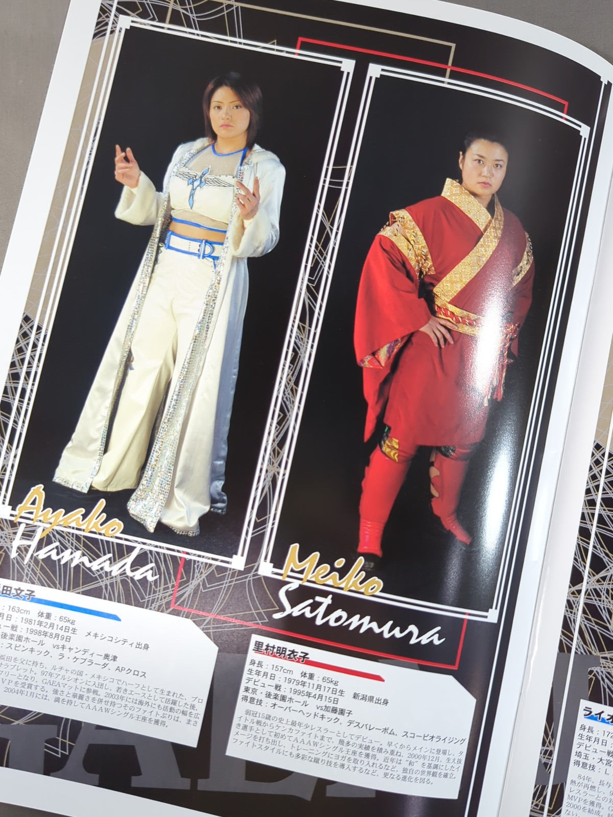 FEEL THE GAEAISM Vol.17 / LIMIT BREAK 2004