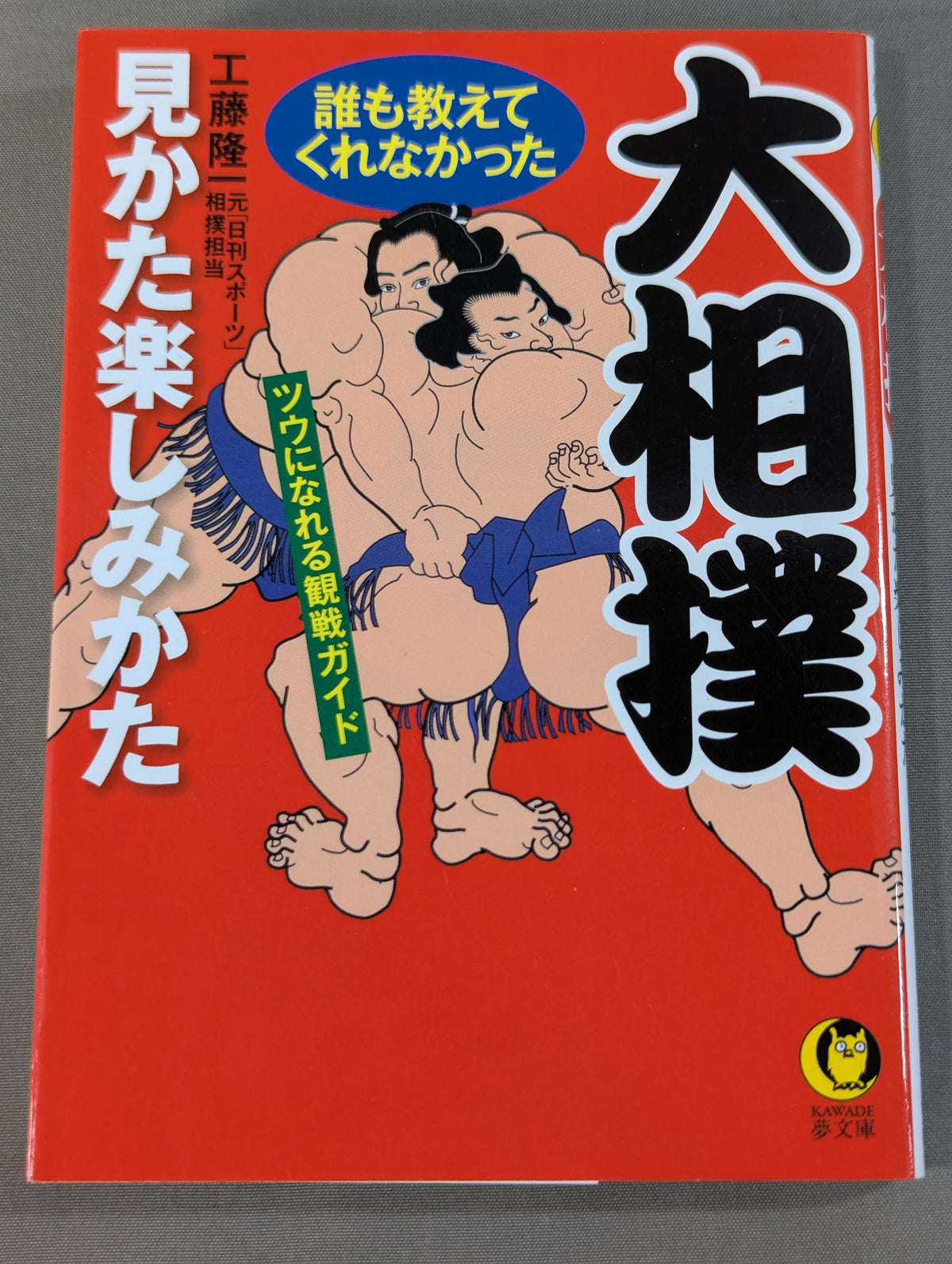 大相撲 誰も教えてくれなかった見かた楽しみかた  ツウになれる観戦ガイド
