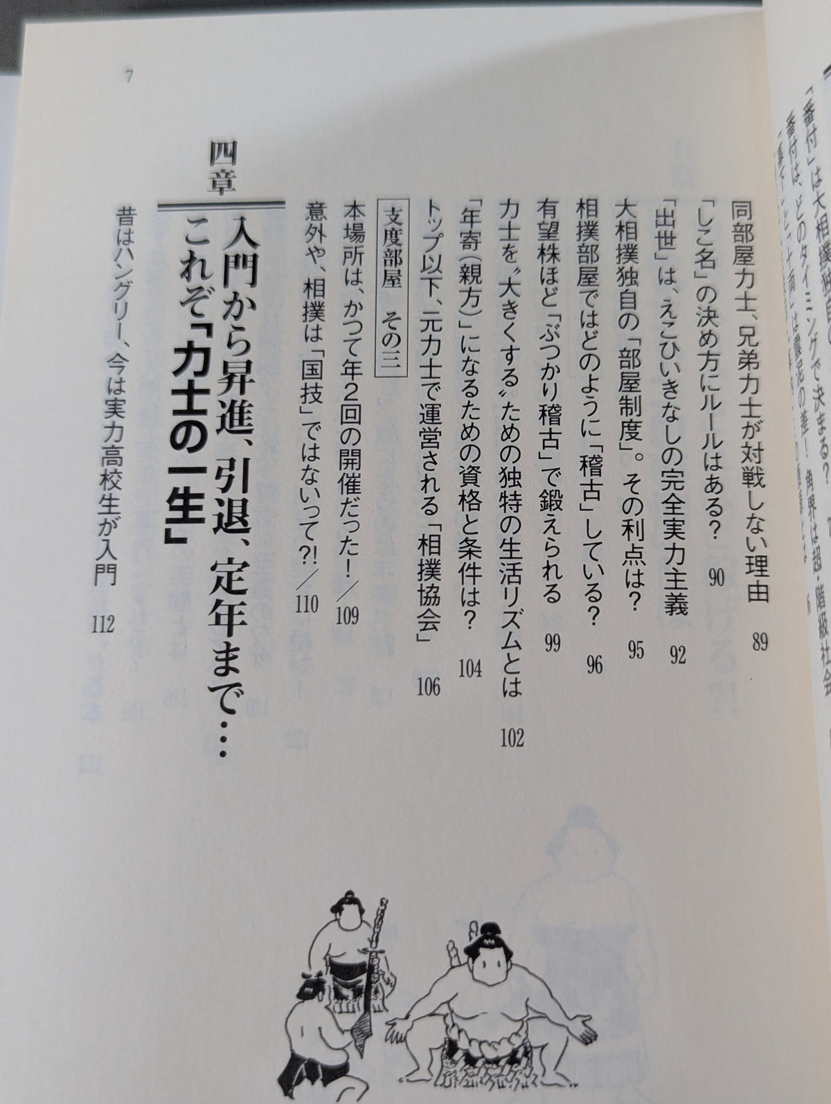 大相撲 誰も教えてくれなかった見かた楽しみかた  ツウになれる観戦ガイド