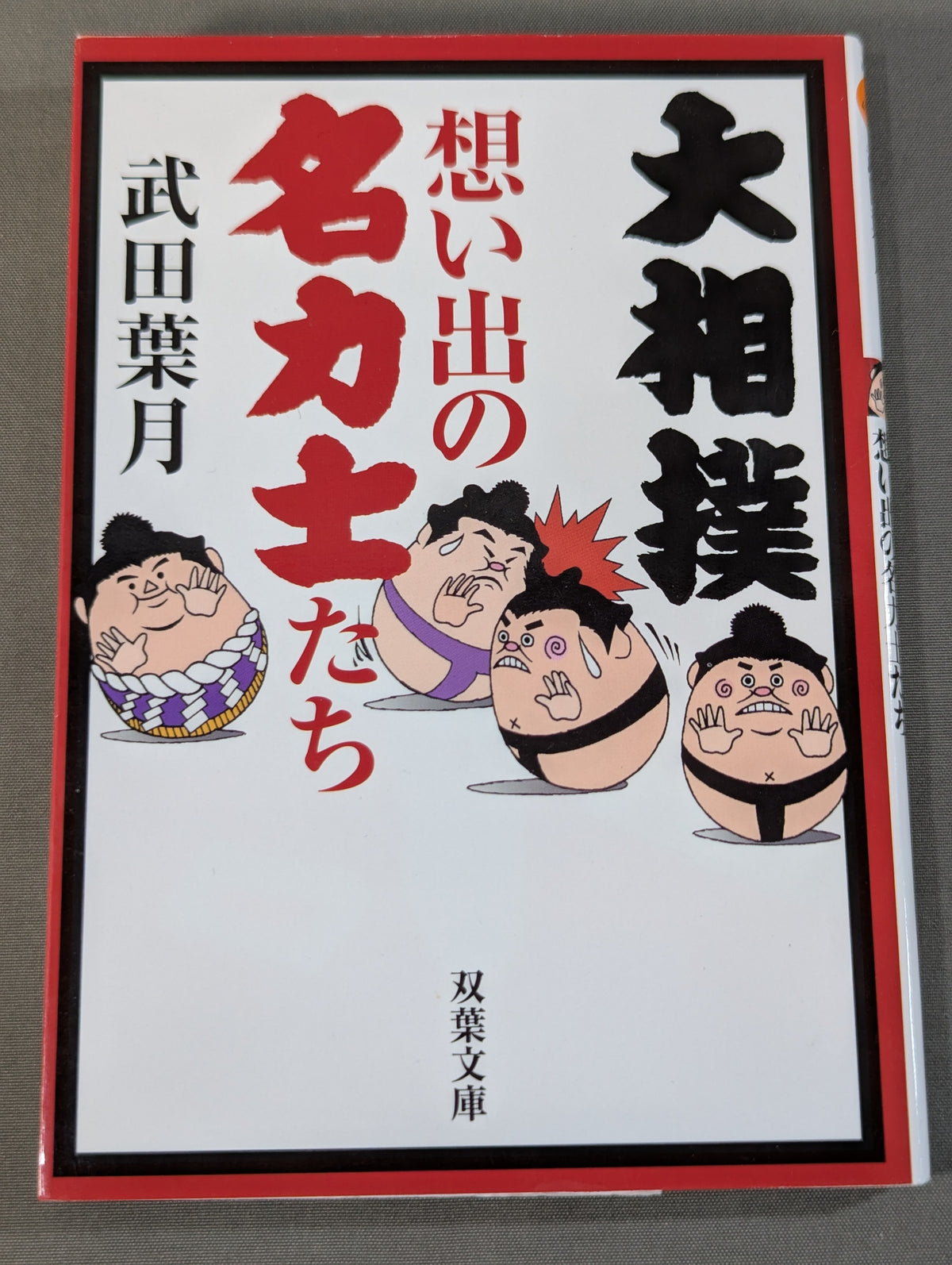 大相撲 想い出の名力士たち