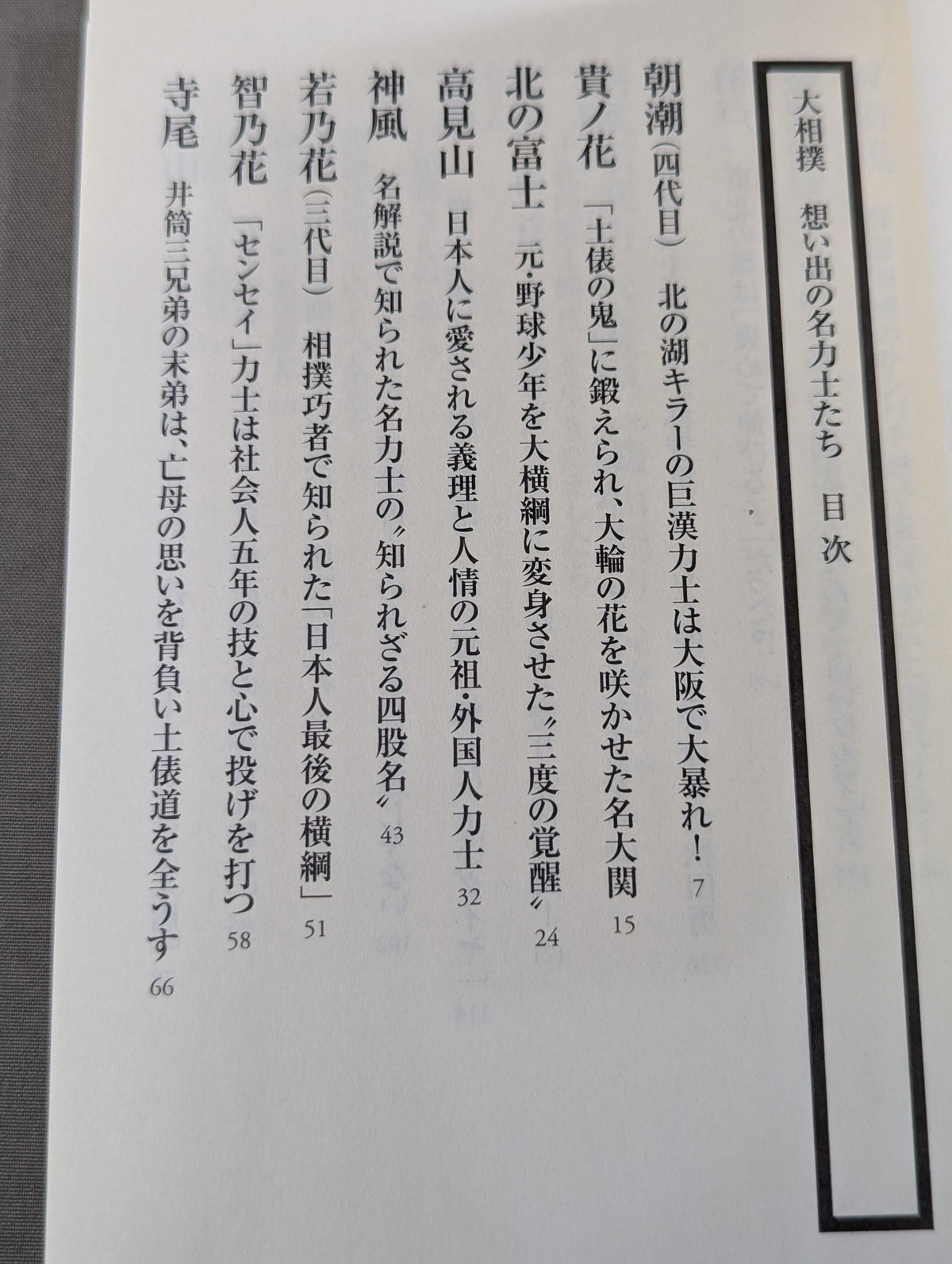 大相撲 想い出の名力士たち