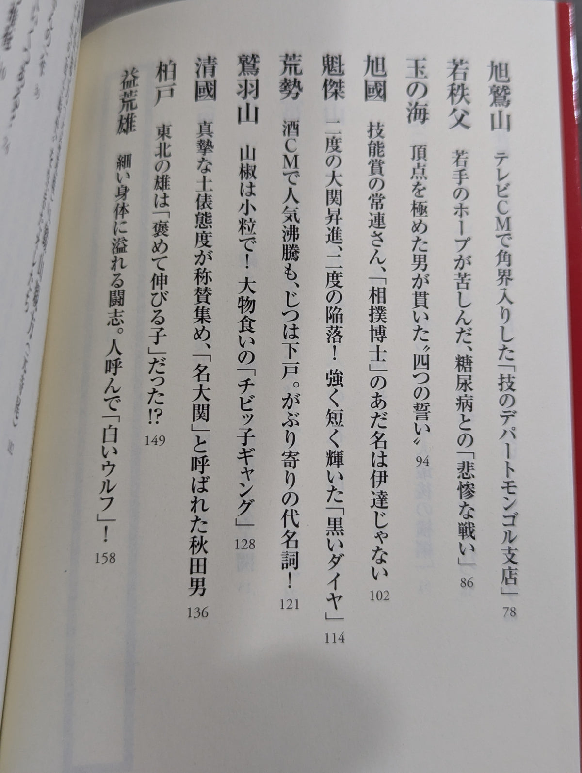 大相撲 想い出の名力士たち