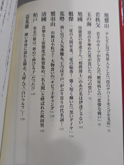 大相撲 想い出の名力士たち