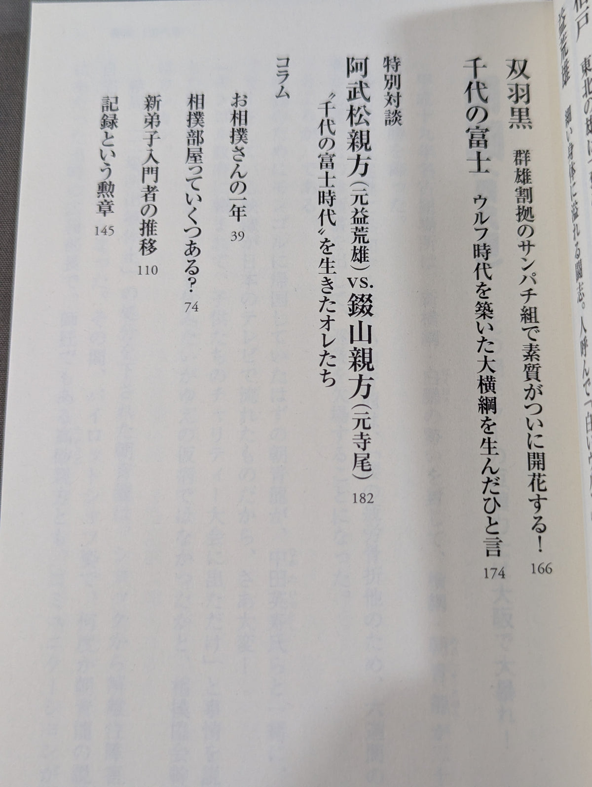 大相撲 想い出の名力士たち