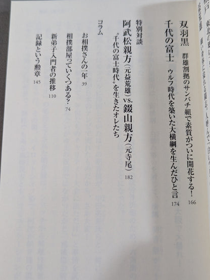 大相撲 想い出の名力士たち