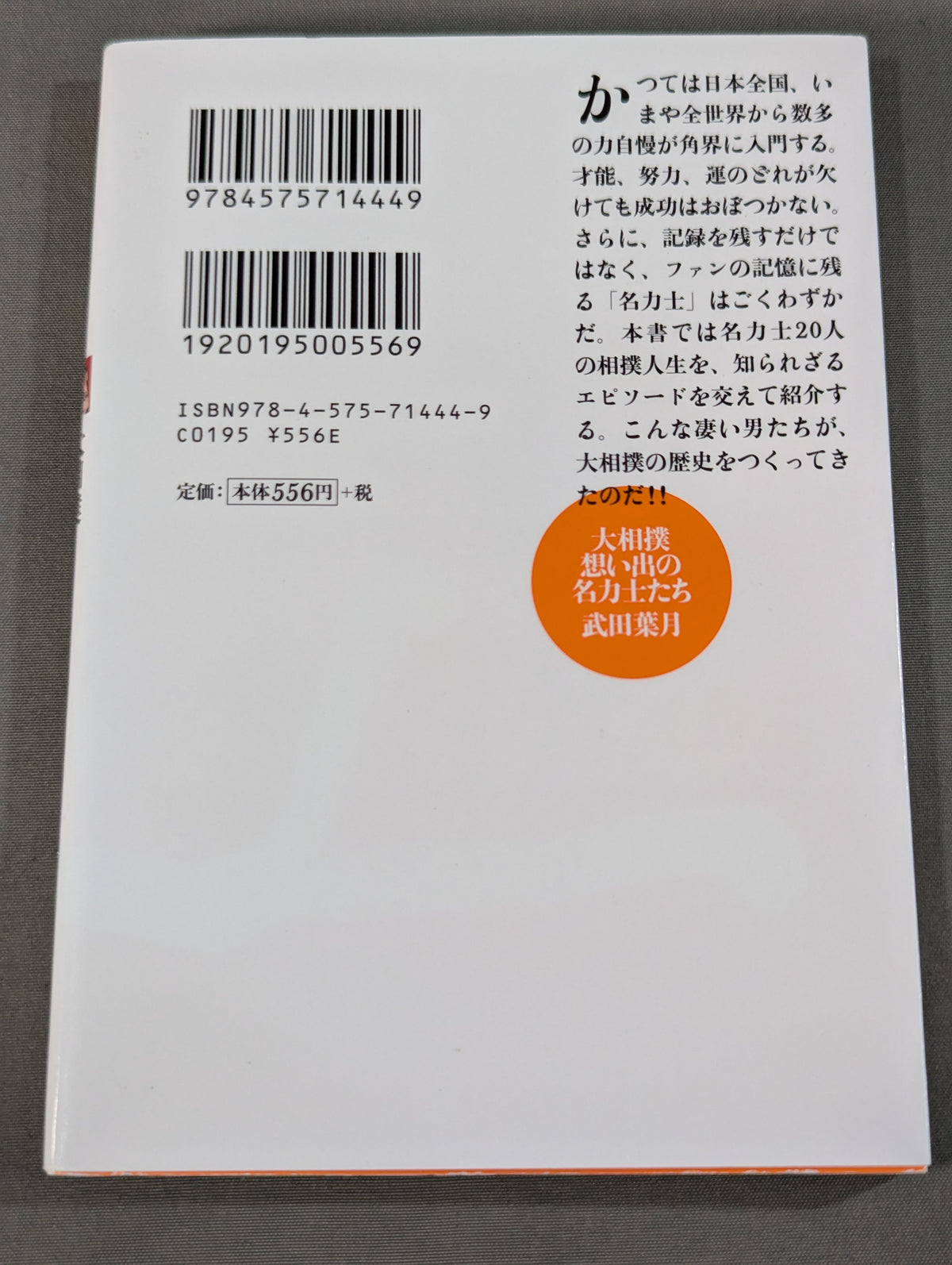 大相撲 想い出の名力士たち