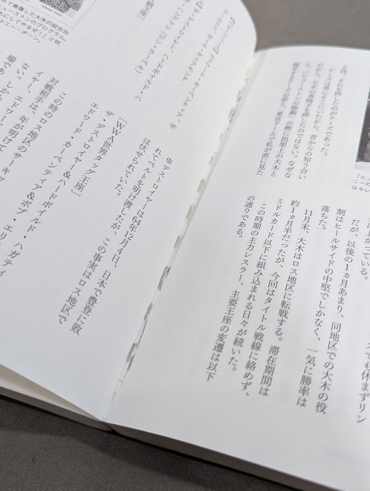 Historical Theory-Rikidozan Dojo Three Crows