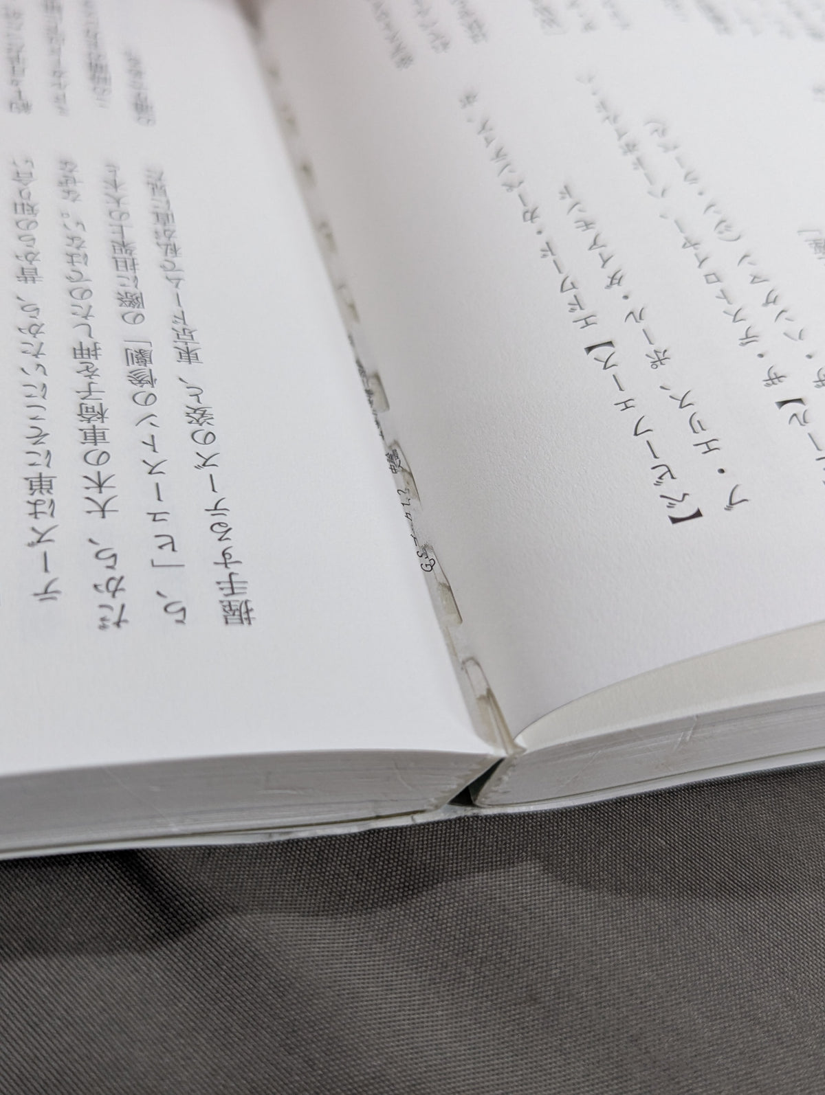 Historical Theory-Rikidozan Dojo Three Crows