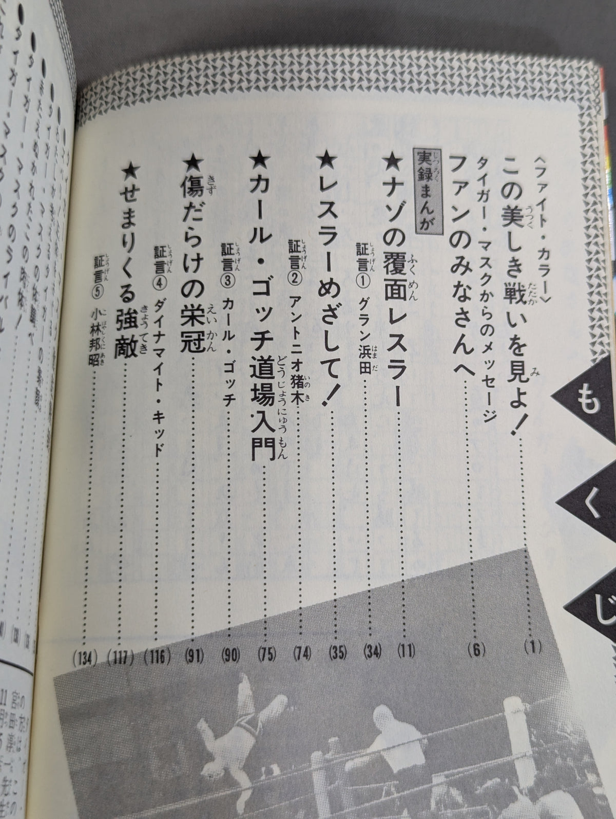 True story manga Tiger mask