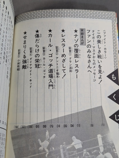True story manga Tiger mask