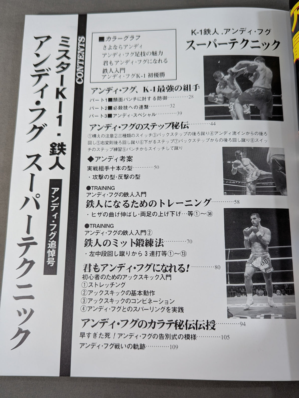 ミスターK-1・鉄人 アンディ・フグ スーパーテクニック アンディ・フグ追悼号