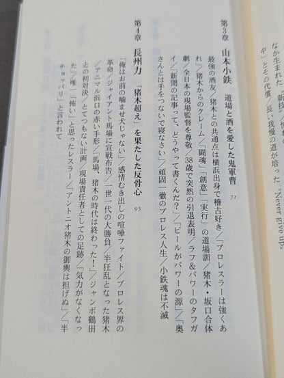 Antonio Inoki  Fighting Spirit Gene