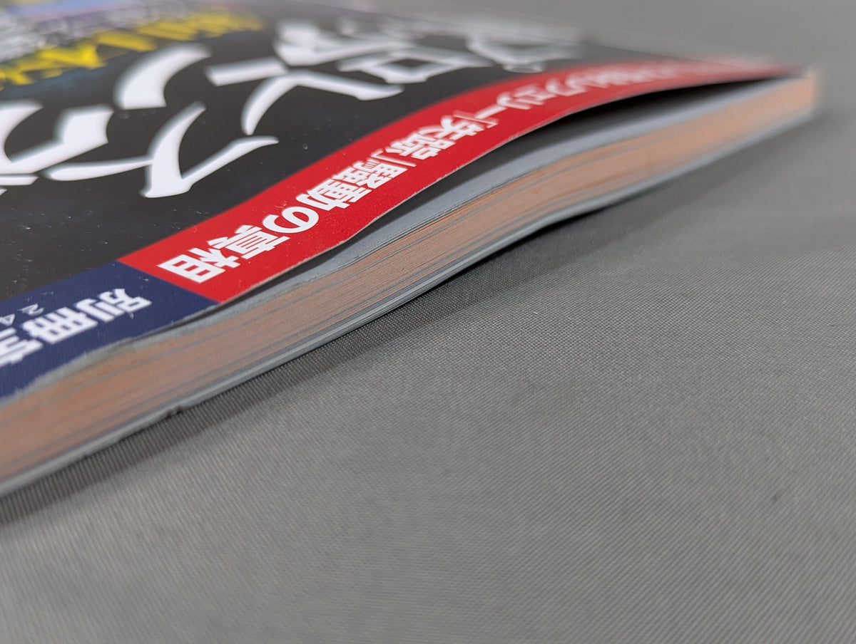 別冊宝島2431 プロレス 悪のアングル 封印されたノア・西永レフェリー失踪騒動の真相