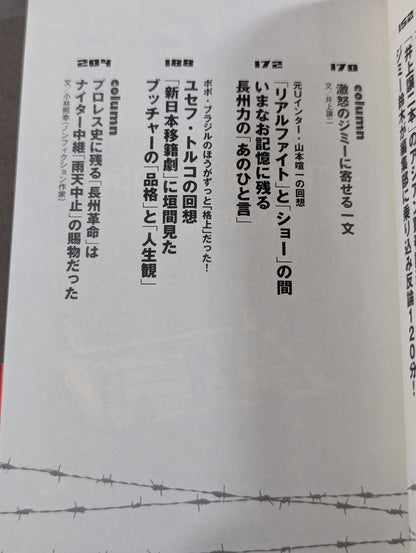 プロレス｢悪夢の10年｣を問う