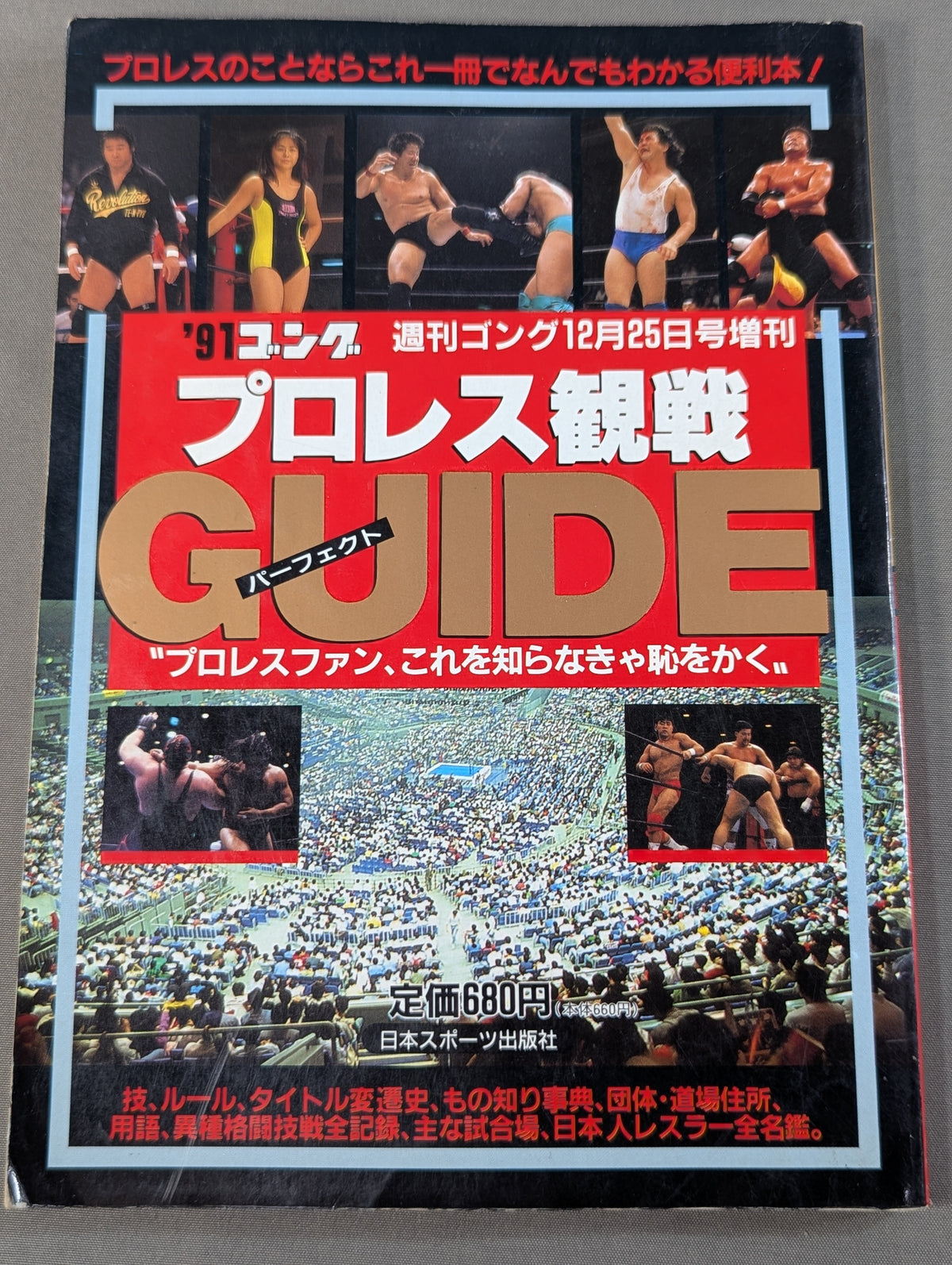 91 Gong Pro Wrestling  Perfect Guide