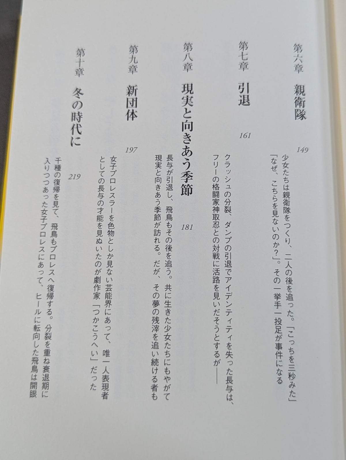 1985年のクラッシュ・ギャルズ