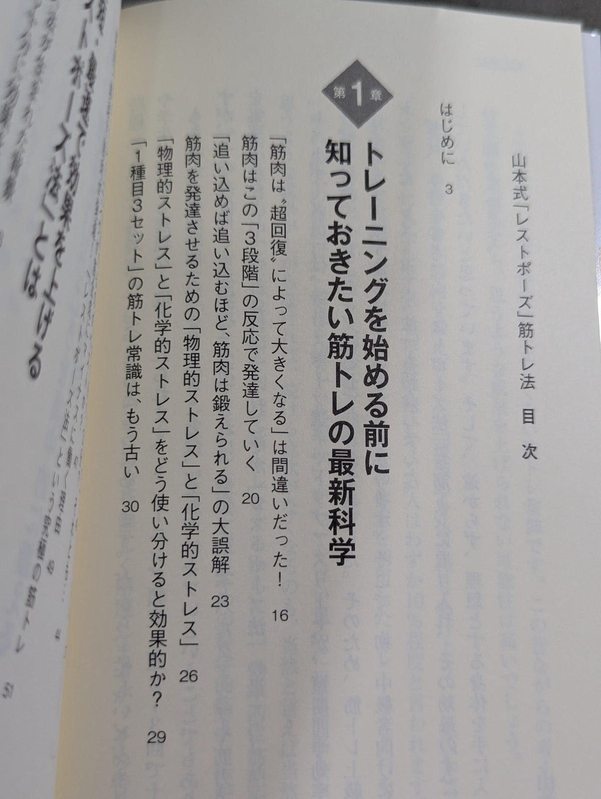 Yamamoto-style 'Rest Pose' Strength Training Method