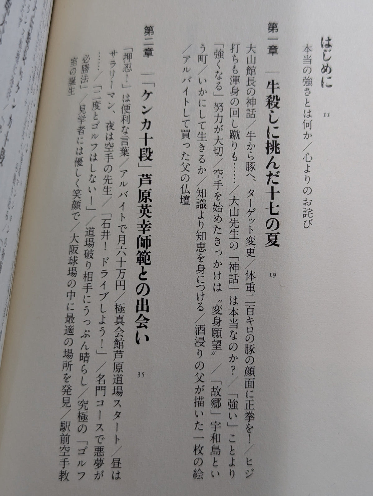 空手超バカ一代