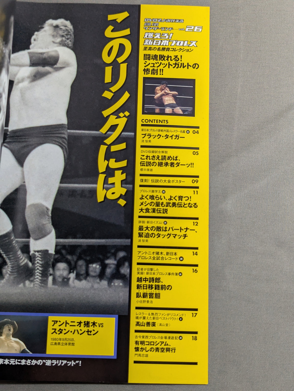 Burn! New Japan Pro Wrestling  vol.26