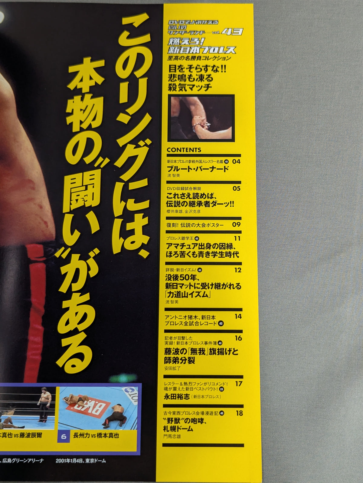Burn! New Japan Pro Wrestling  vol.43