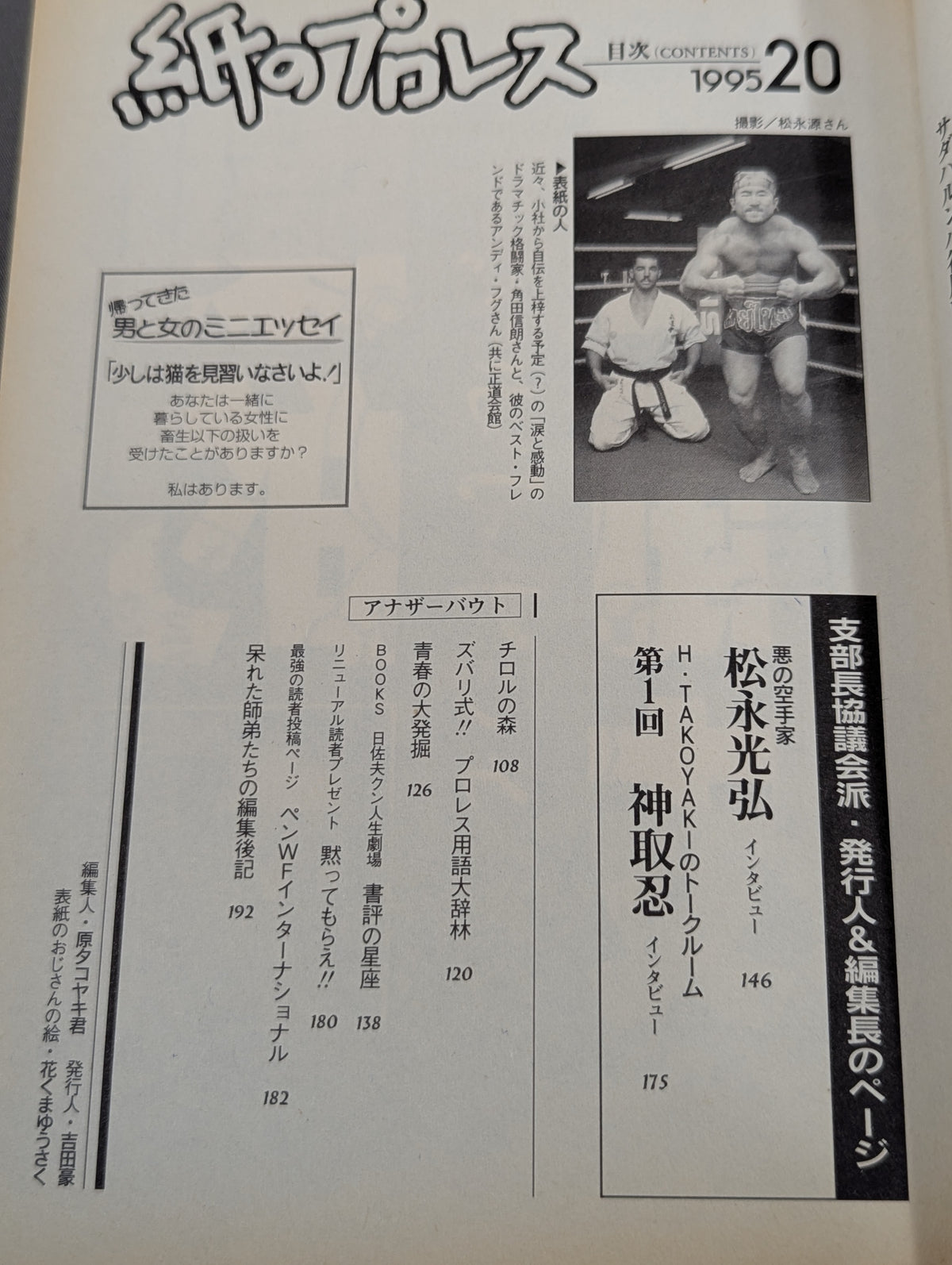 Paper Pro Wrestling 20