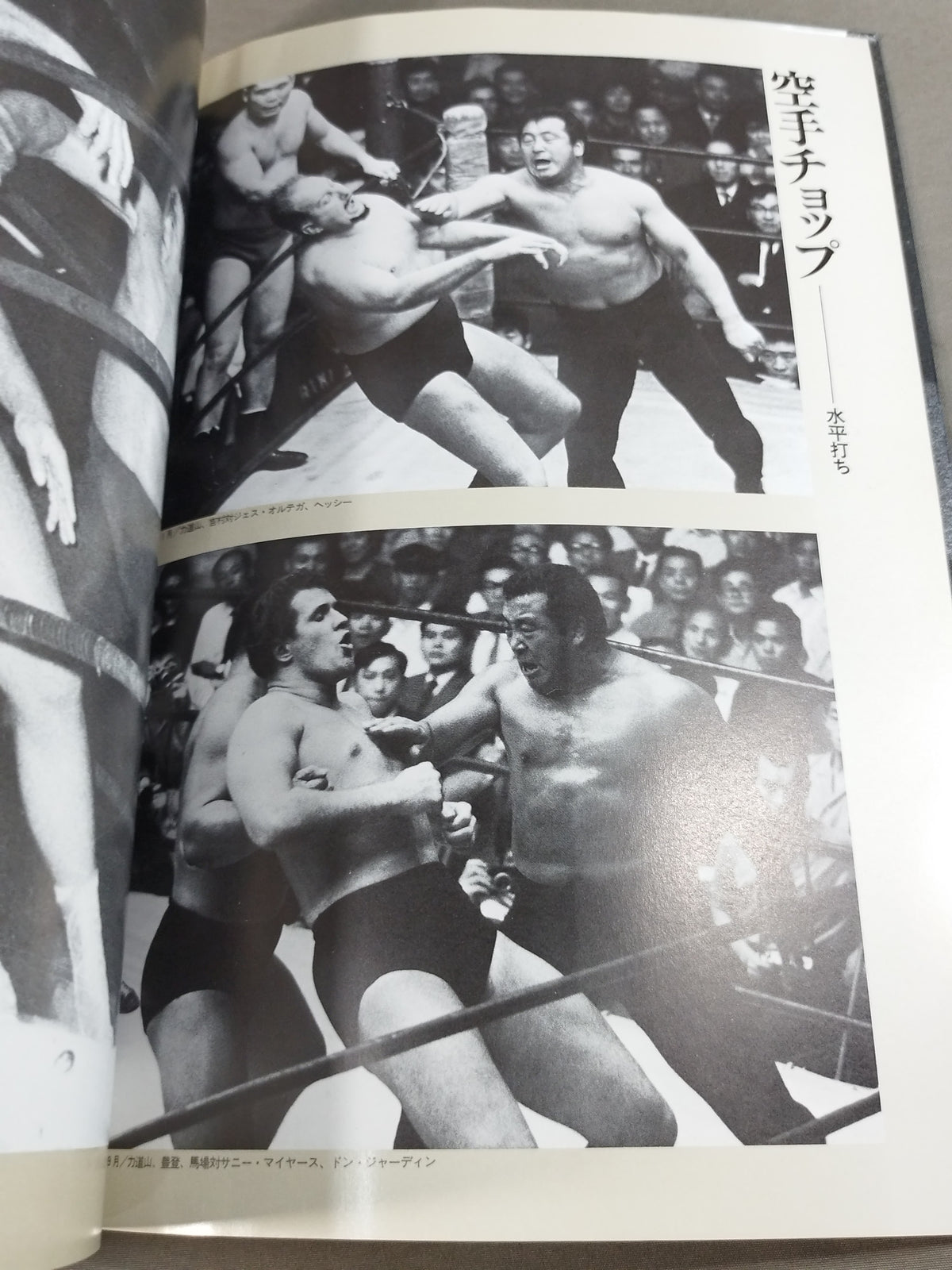 The Rikidozan  Hero Who Went Through the Ages Rikidozan Photo Collection