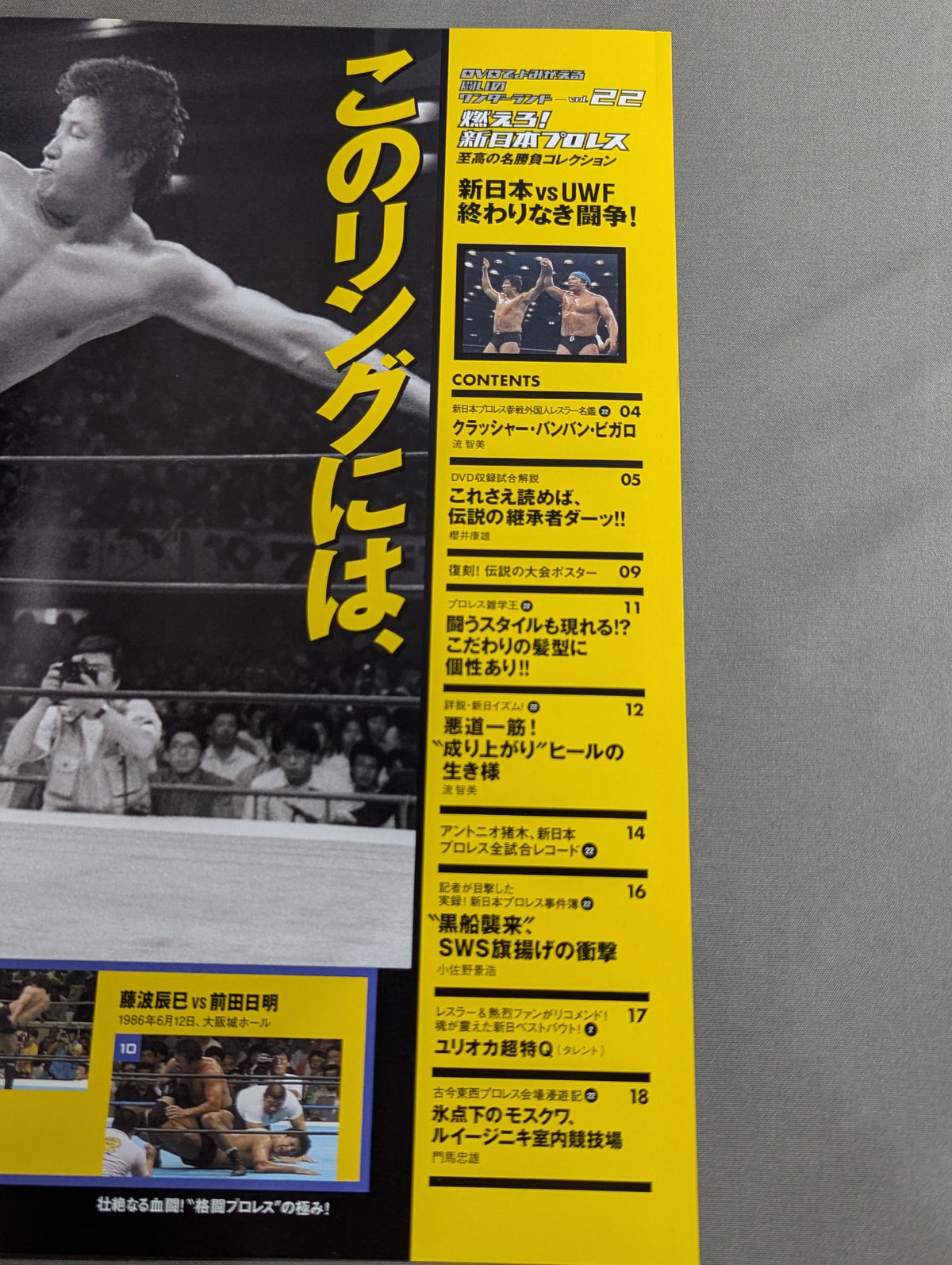 Burn! New Japan Pro Wrestling  vol.22