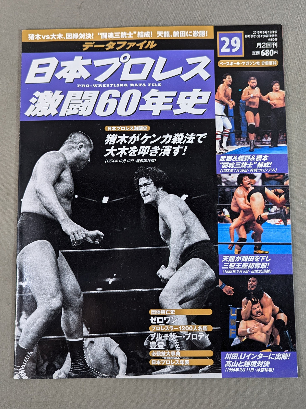 Japan Pro Wrestling 60 Years of Fierce Battle (29)