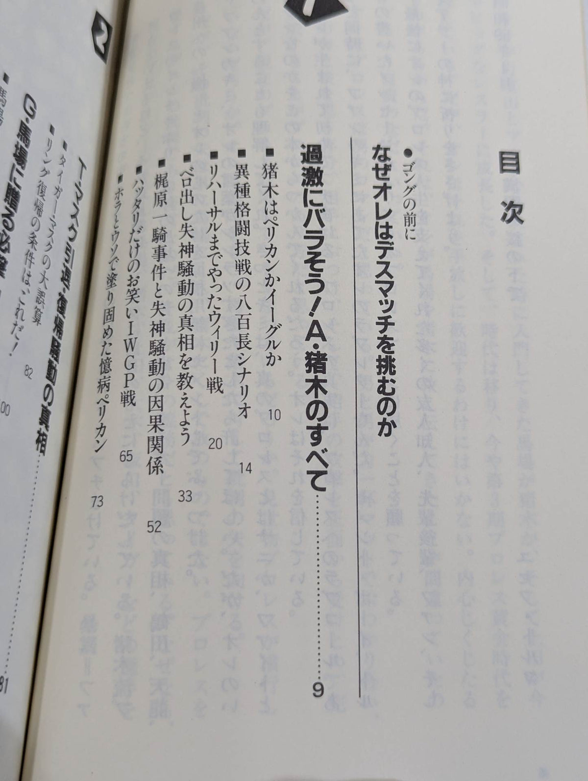 こんなプロレス知ってるかい