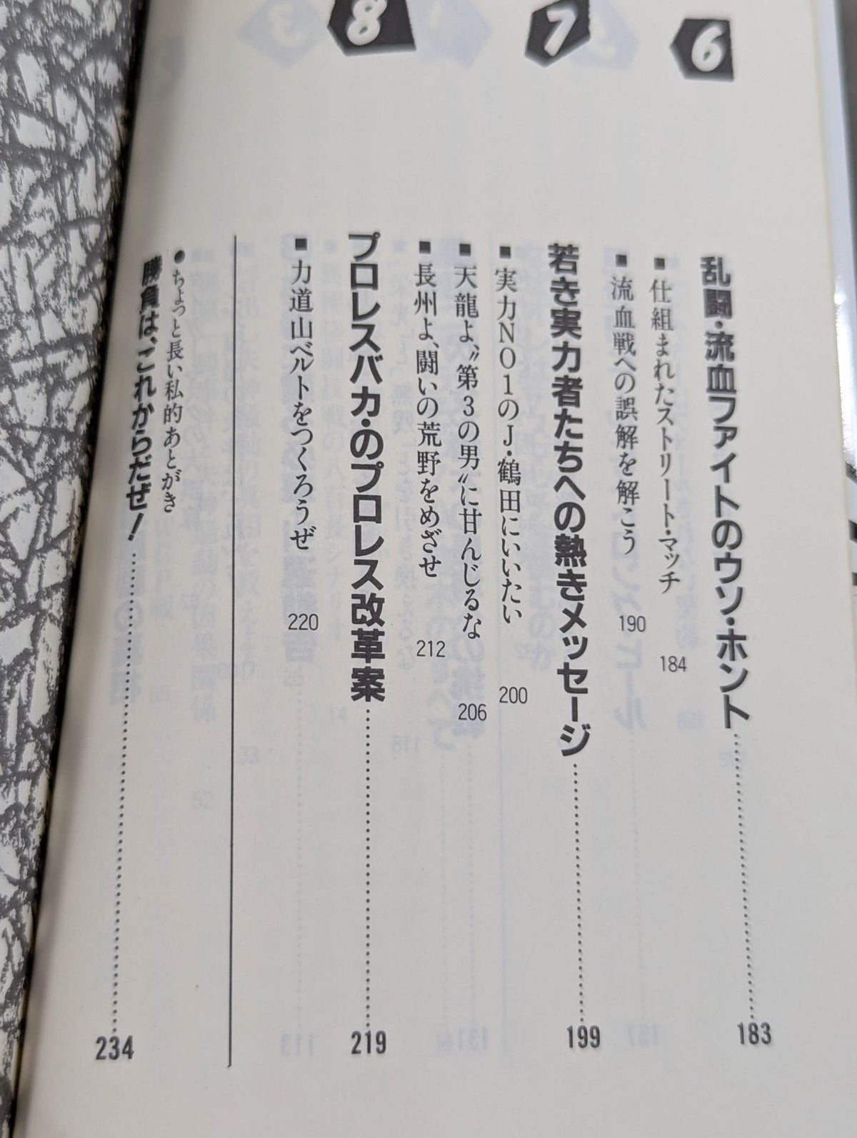 こんなプロレス知ってるかい
