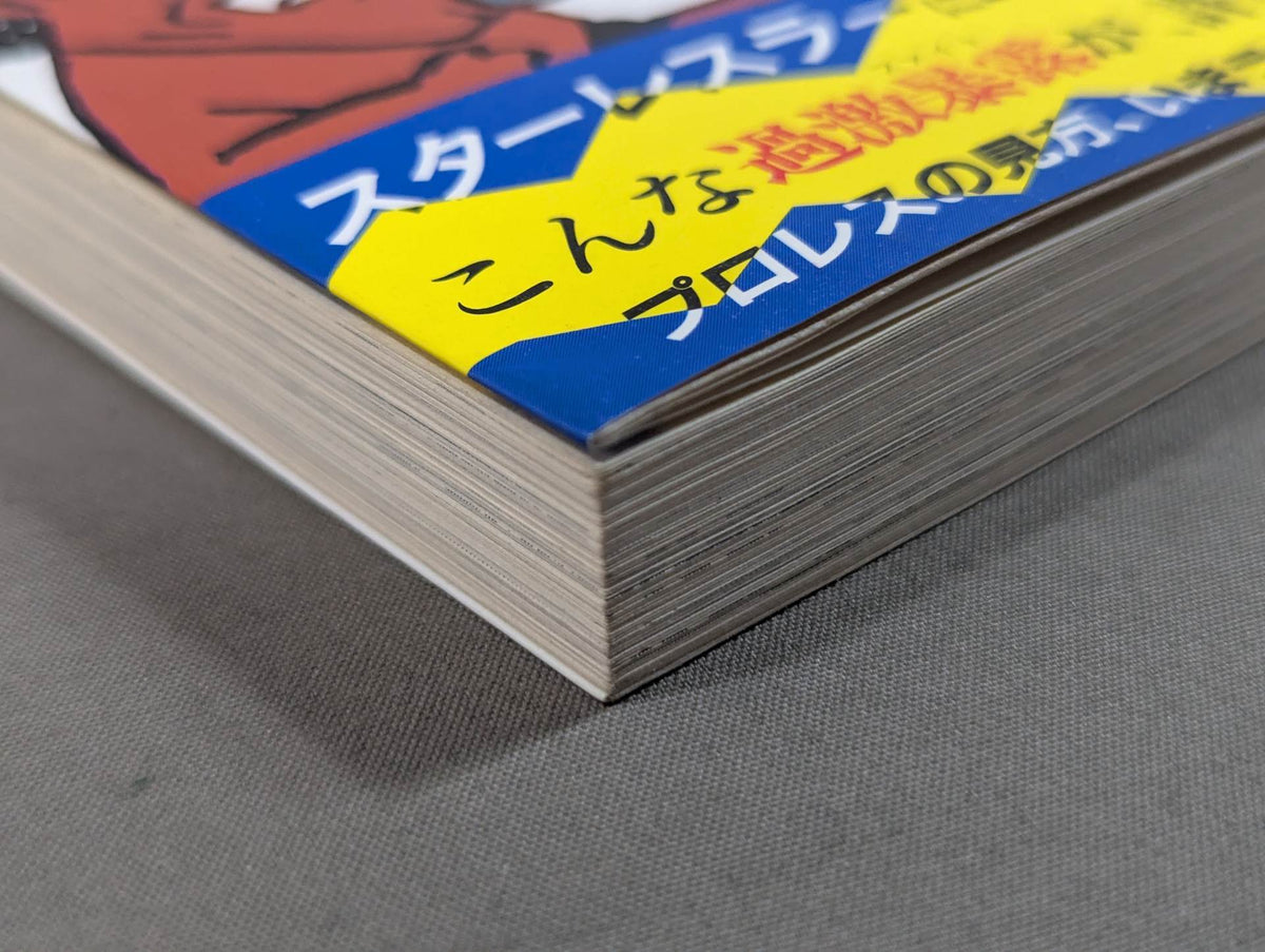 こんなプロレス知ってるかい