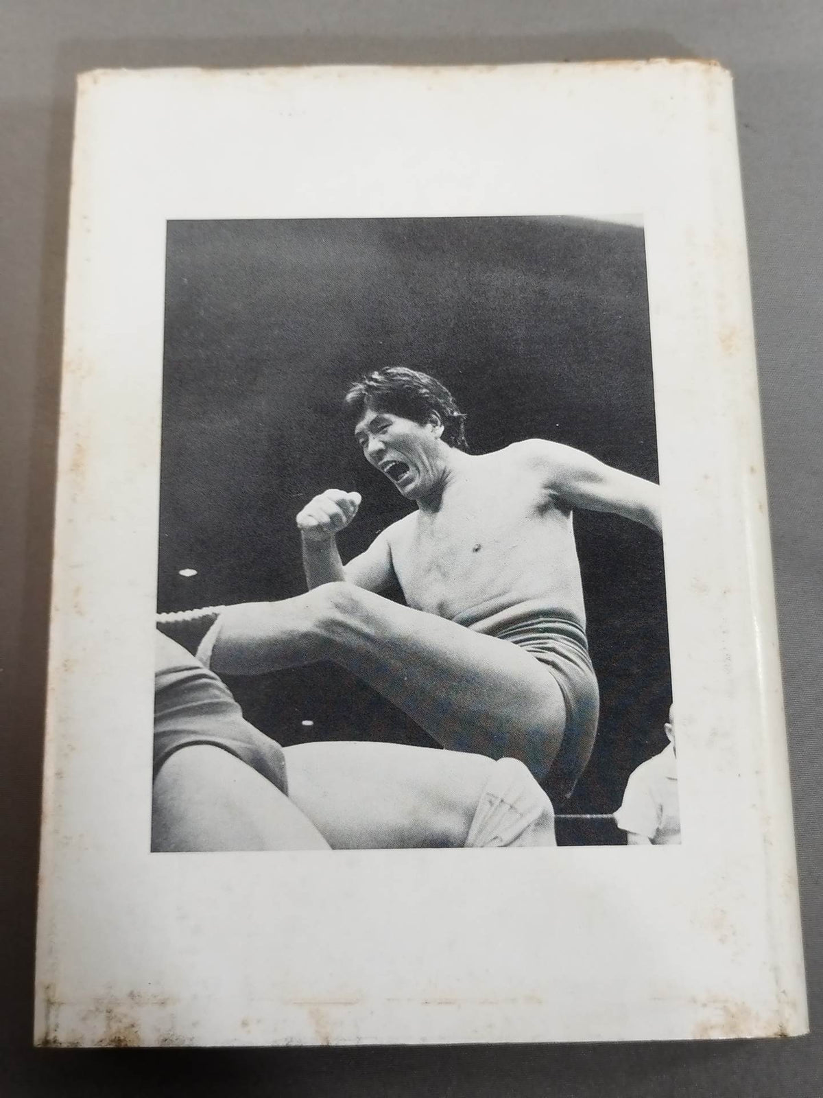 Quiet fighting spirit "Giant Baba "